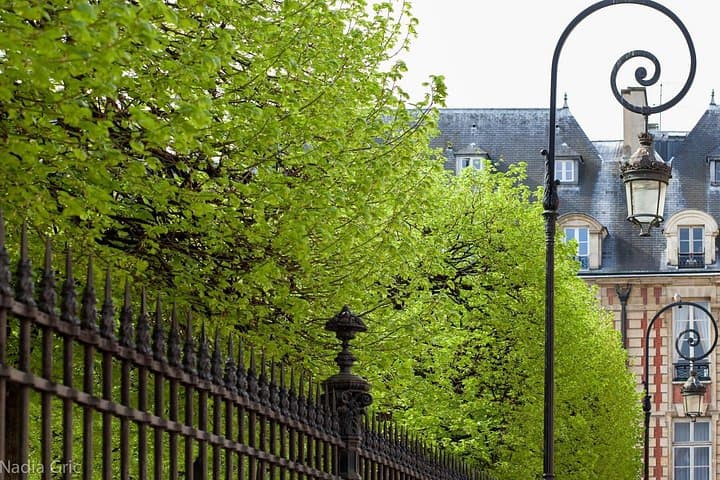 Le Marais Private Walking Tour — photo 2