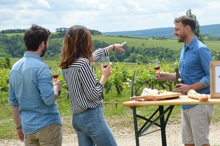 Chablis & Burgundy vineyards & cellars tour from Paris +Sommelier — photo 1