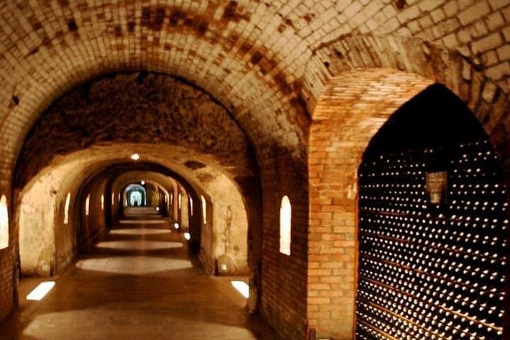 Champagne VIP Day Trip from Paris With Local PRIVATE Wine Expert Guide — photo 4