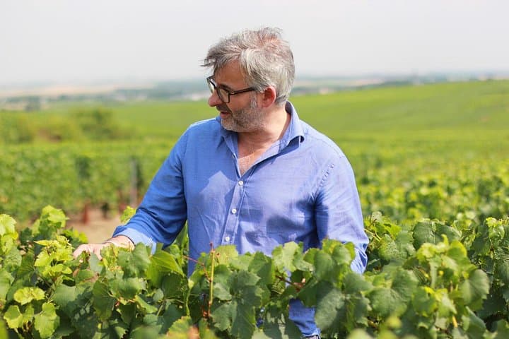 Champagne VIP Day Trip from Paris With Local PRIVATE Wine Expert Guide — photo 1