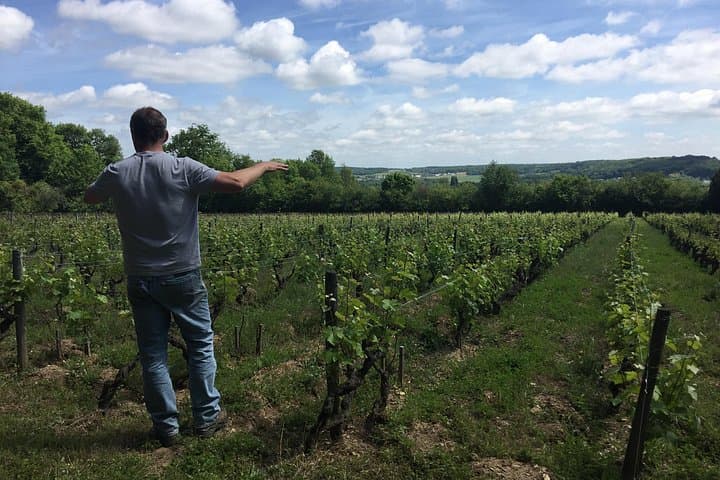 Loire Wine Day from Paris: Chambord Castle, 6 Tastings & Lunch — photo 13