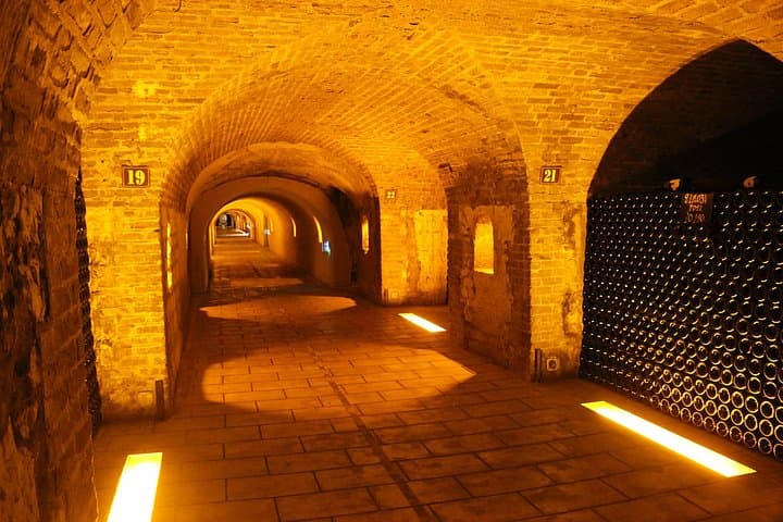 Champagne Private Day trip from Paris with 8 Tastings & Lunch — photo 4
