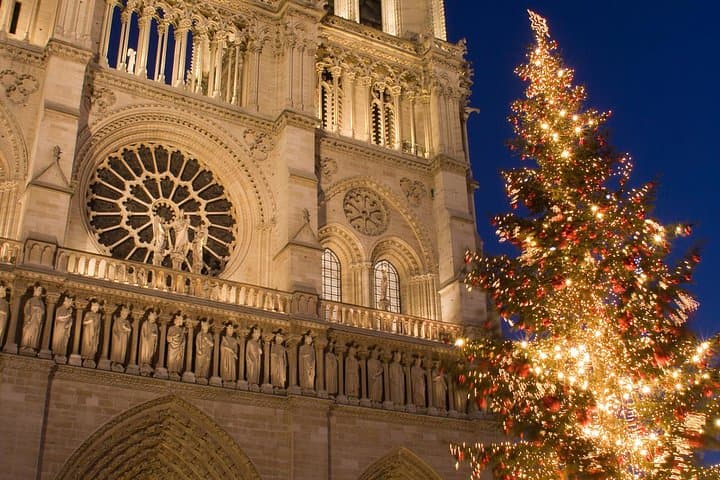 Seine River Christmas Cruise Lunch or Dinner by Bateaux Parisiens — photo 2