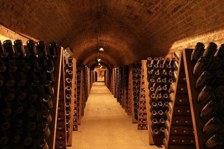 Paris: Champagne Day Trip with Tastings, Cathedral & Pickup — photo 9