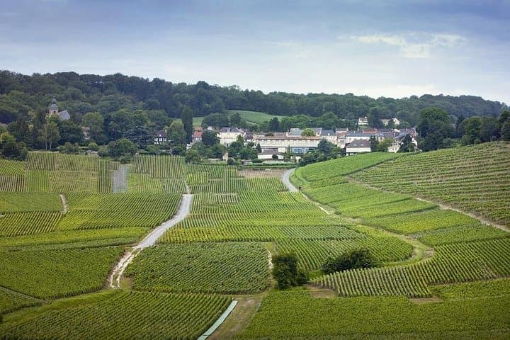 Champagne Region Private Day Trip from Paris — photo 3