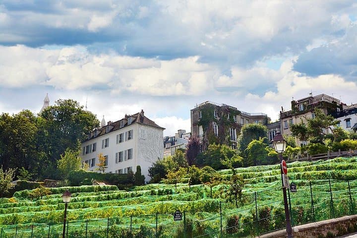Montmartre and Sacré-Cœur Walking Tour with a Local Guide — photo 6