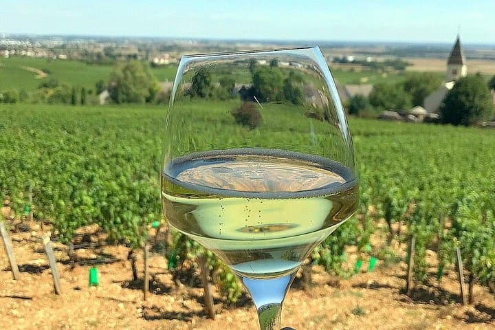 Champagne Private Day trip from Paris with 8 Tastings & Lunch — photo 6