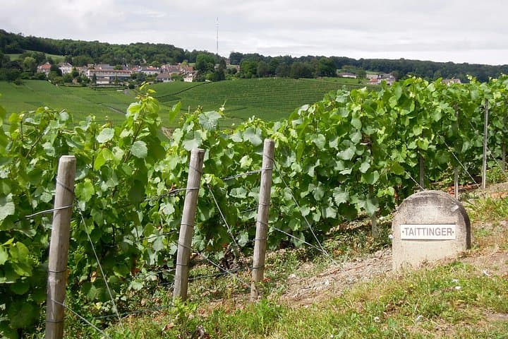 Champagne Day Trip from Paris with 8 Tastings & Lunch — photo 17