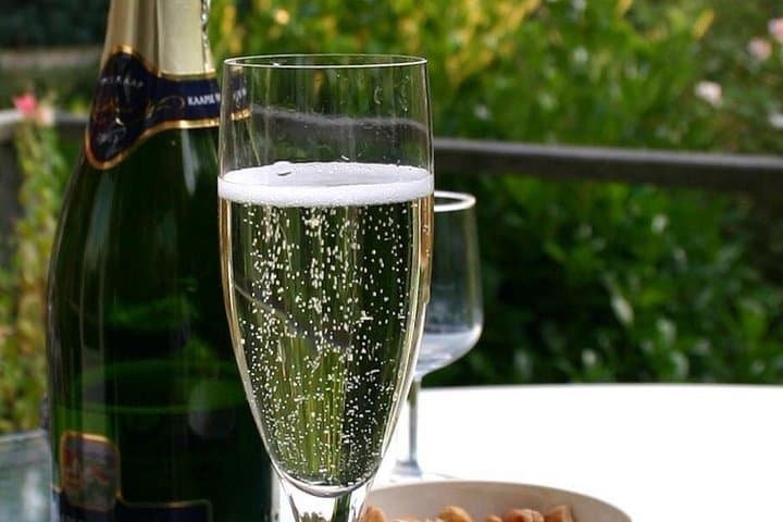 Champagne Private Day trip from Paris with 8 Tastings & Lunch — photo 10