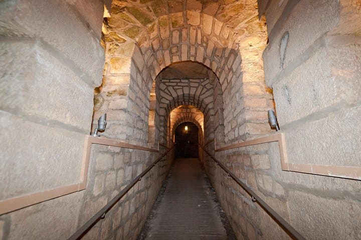 Paris Catacombs Tour with VIP Access to Restricted Areas — photo 3