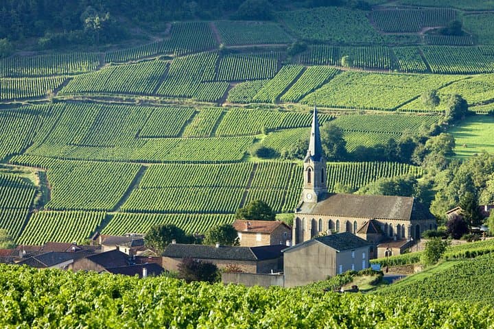 Burgundy Wine Tasting Small-Group Tour in Chablis from Paris — photo 3