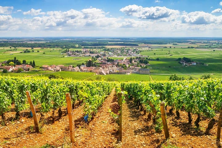 Burgundy Wine Tasting Small-Group Tour in Chablis from Paris — photo 8
