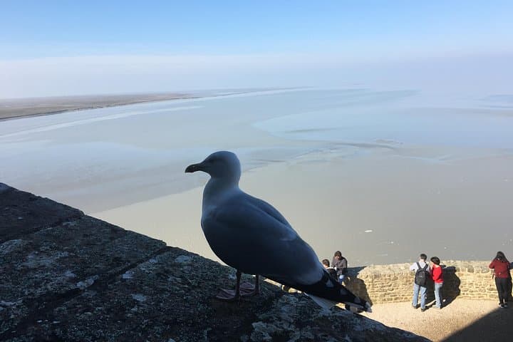 Private Tour to Mont-Saint-Michel From Paris — photo 9