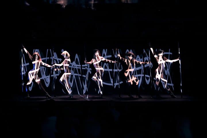 Paris Crazy Horse Cabaret Show Champagne & macarons — photo 7