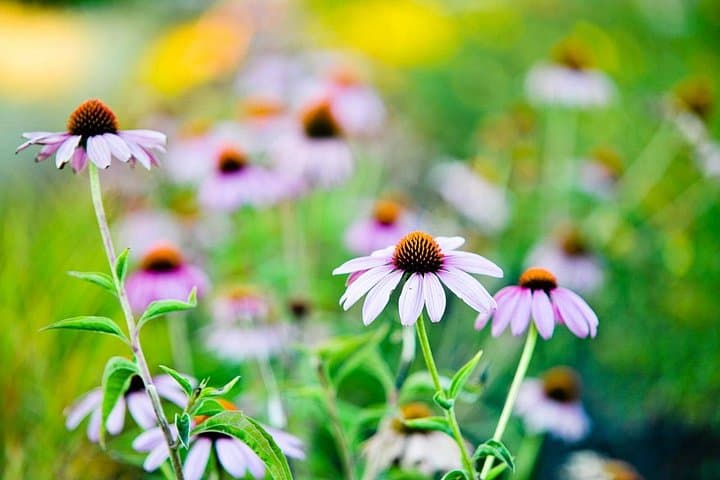 Photo Course - Level 1: Get Out of Automatic Mode! — photo 4