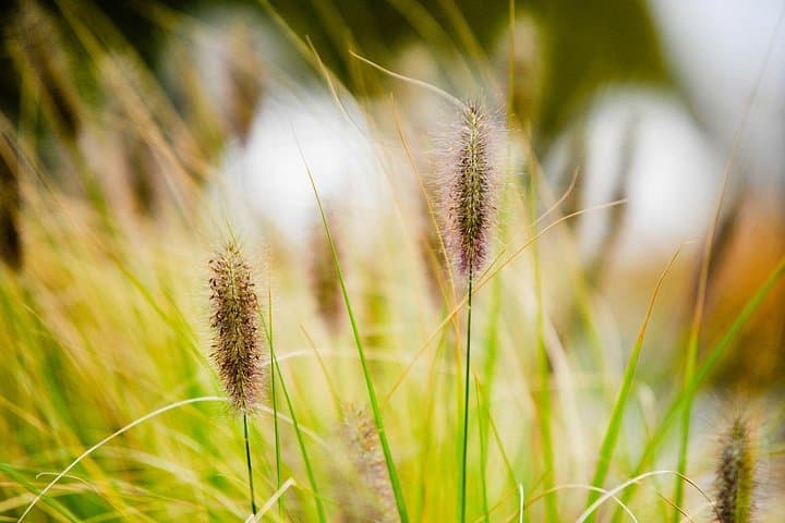 Photo Course - Level 1: Get Out of Automatic Mode! — photo 11