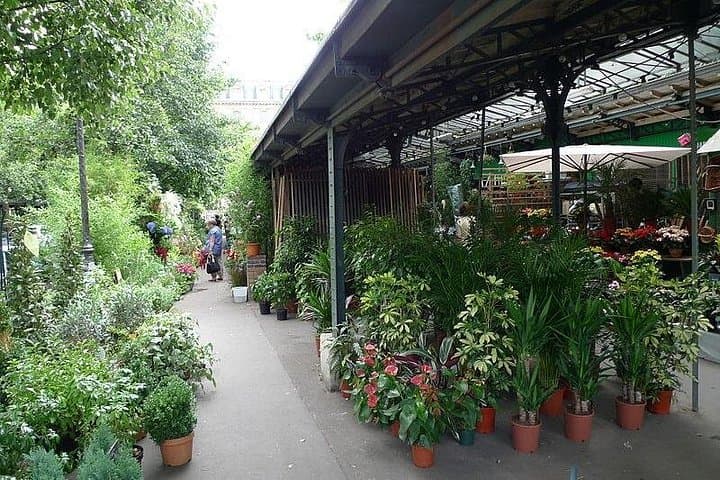 The Medieval Heart of Paris - History Walk (Small Group Tour) — photo 8