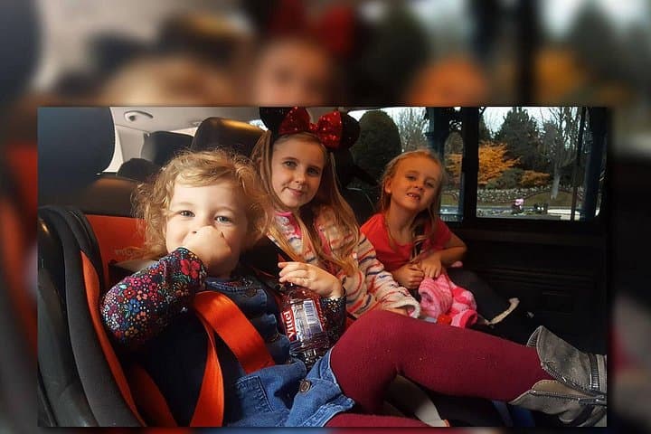 PARIS - Euro Disney (One Way) Private Shuttle Transfer — photo 1
