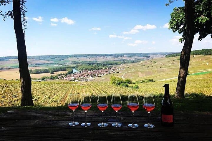 Champagne Day Trip from Paris with 8 Tastings & Lunch — photo 15
