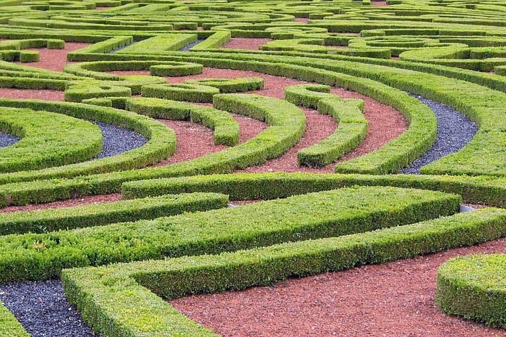 Fontainebleau and Vaux le Vicomte Chateaux Day Trip from Paris — photo 10