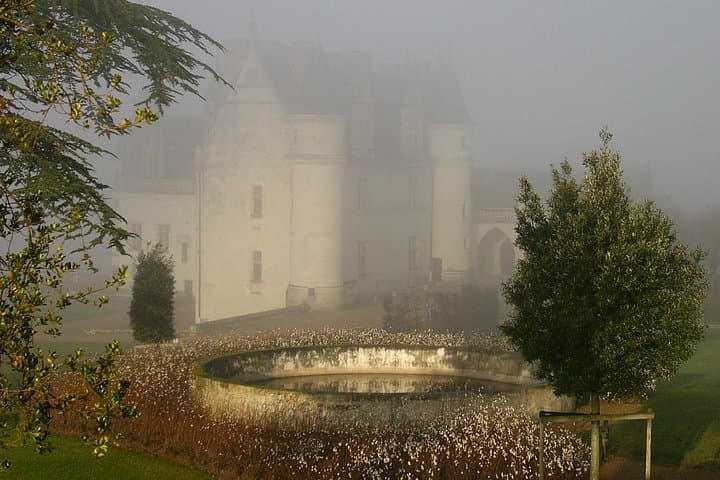 Visit to the Castles of the Loire Valley — photo 3