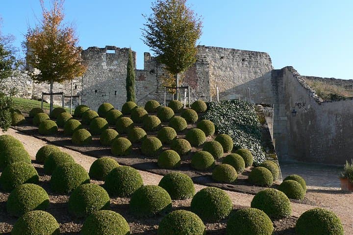 Visit to the Castles of the Loire Valley — photo 4