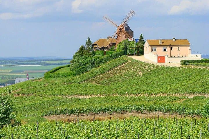 Champagne VIP Day Trip from Paris With Local PRIVATE Wine Expert Guide — photo 12