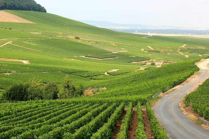 Champagne VIP Day Trip from Paris With Local PRIVATE Wine Expert Guide — photo 13