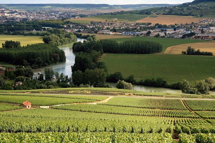 Champagne VIP Day Trip from Paris With Local PRIVATE Wine Expert Guide — photo 14
