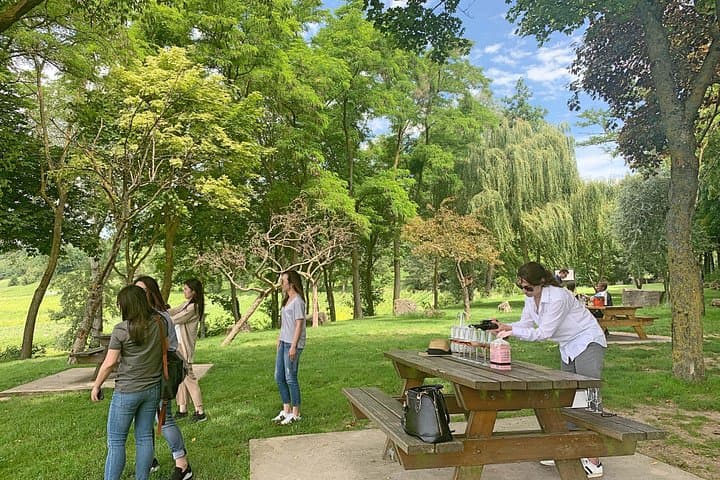 Champagne Day Trip from Paris with 8 Tastings & Lunch — photo 13