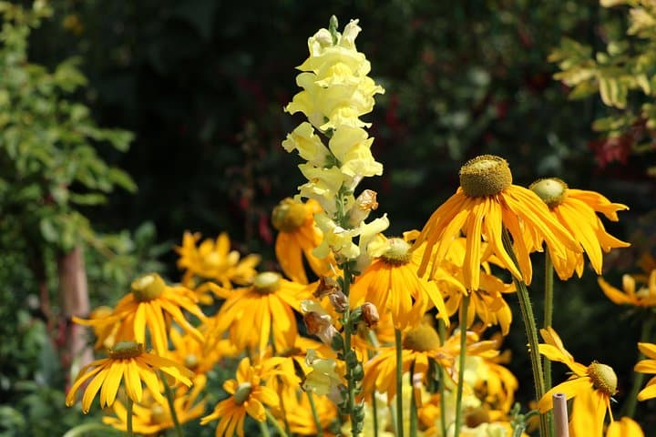 Giverny Private Half-Day Trip including Claude Monet' Gardens & House from Paris — photo 8