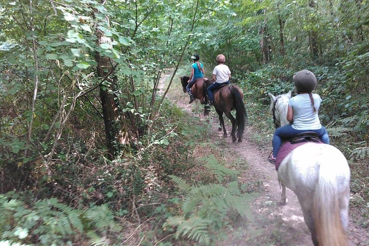 Special children's ride - relaxation and fun for children guaranteed