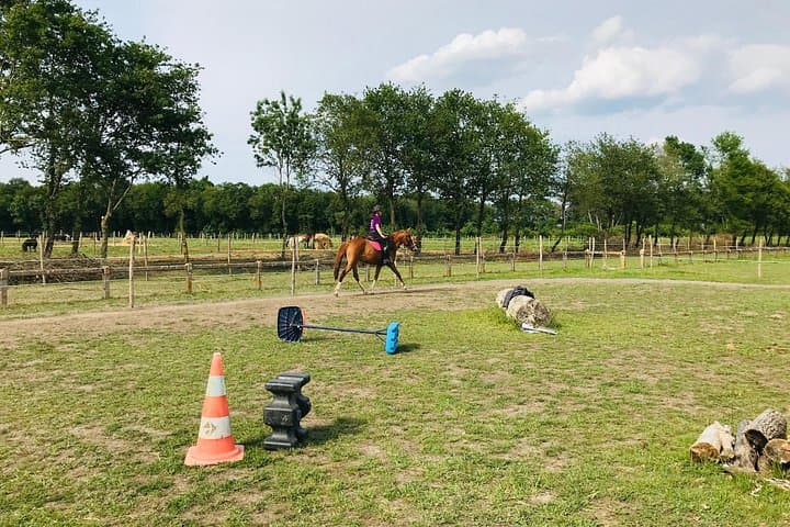 Riding course for all levels 1/2 day (3 hours)