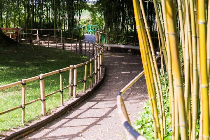 Giverny Small-Group Half Day Trip with Monet’s Gardens from Paris — photo 13