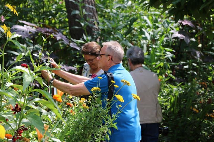 Giverny's House & Gardens plus Versailles Palace Day Trip with Lunch from Paris — photo 9