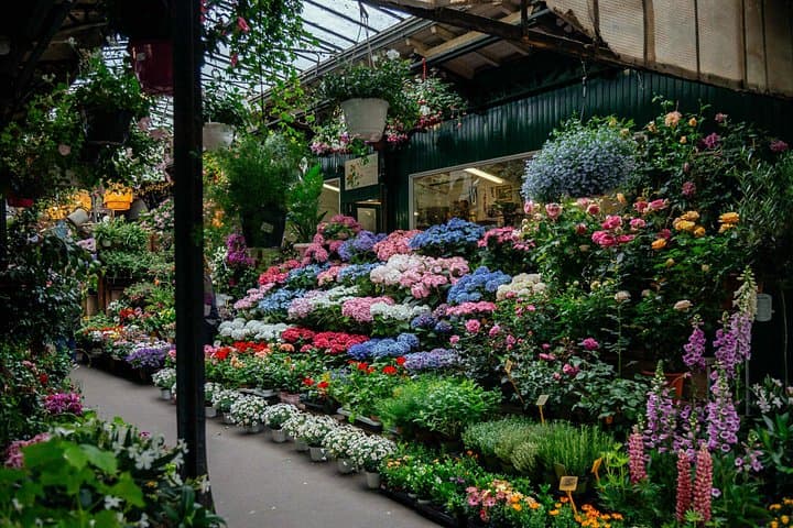 Highlights & Hidden Gems of Ile de Cité & the Left Bank: Private City Tour — photo 8