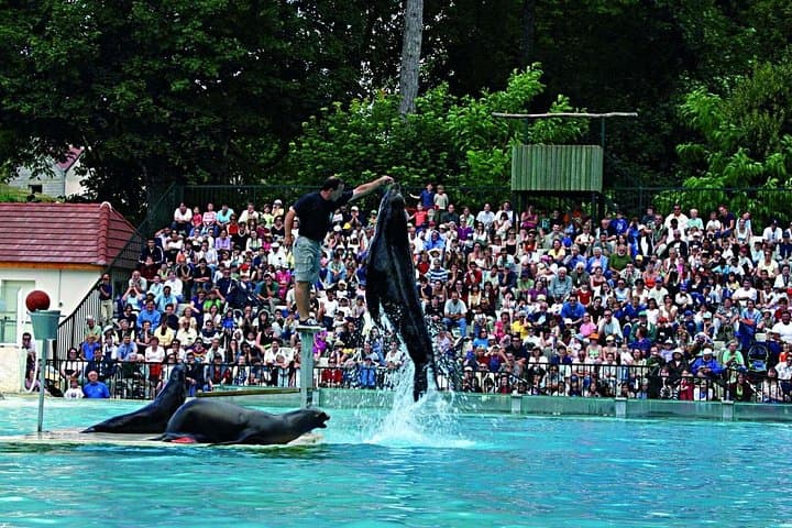 Beauval Zoo - Transportation Private Trip — photo 12