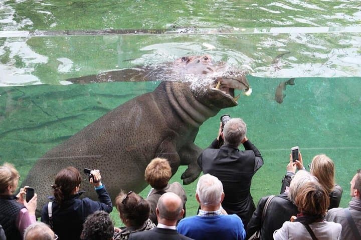 Beauval Zoo - Transportation Private Trip — photo 9