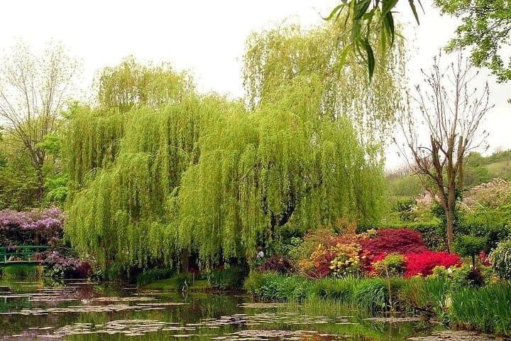 Giverny - Monet's House & Garden - Transportation Private Trip — photo 13