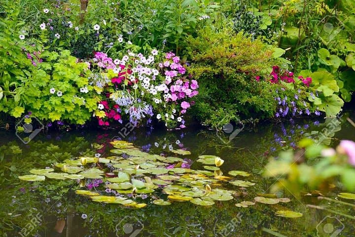 Giverny - Monet's House & Garden - Transportation Private Trip — photo 14