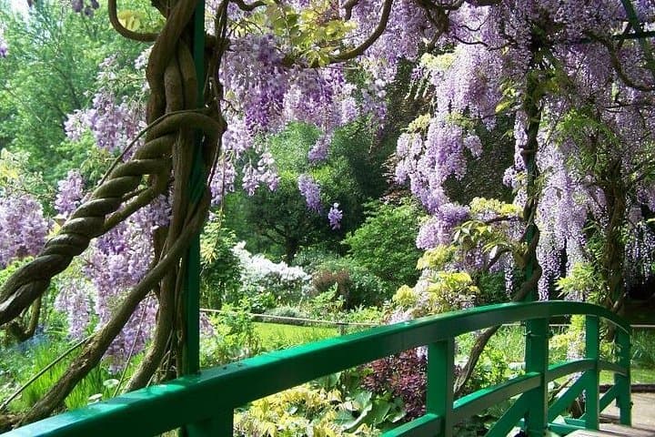 Giverny - Monet's House & Garden - Transportation Private Trip — photo 8