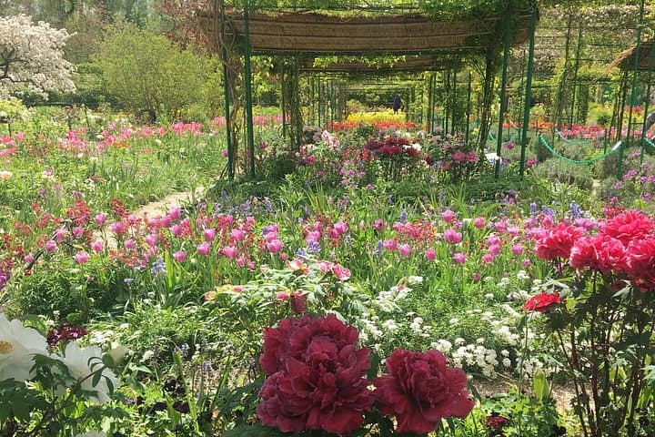 Giverny and Marmottan Monet Museum Private Day Trip from Paris — photo 3