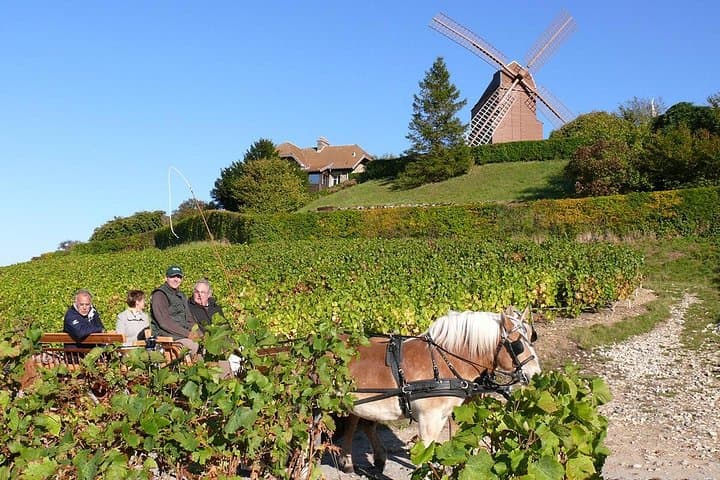 Champagne Day Trip from Paris with 4 Tastings, Reims & Cellars — photo 7