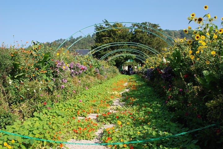 Giverny and Rouen Private Day Trip from Paris — photo 13