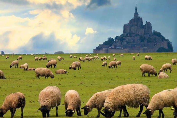 Mont Saint-Michel Day Trip from Paris with Abbey Ticket — photo 4
