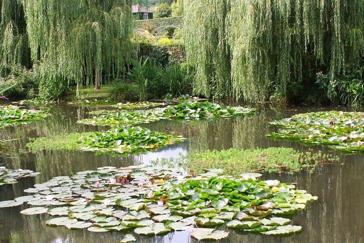 Giverny and Monet's House Half Day Trip from Paris Guide or Audio — photo 11
