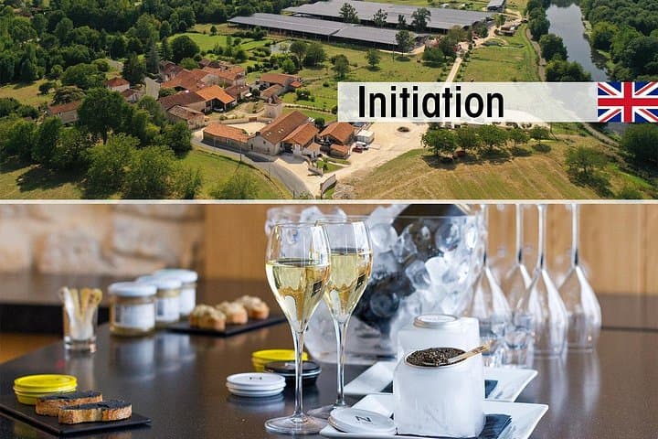 English Tour into the Sturgeon Farm With a Initiation Tasting