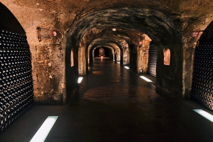 Champagne Day Trip from Paris with 8 Tastings & Lunch — photo 12