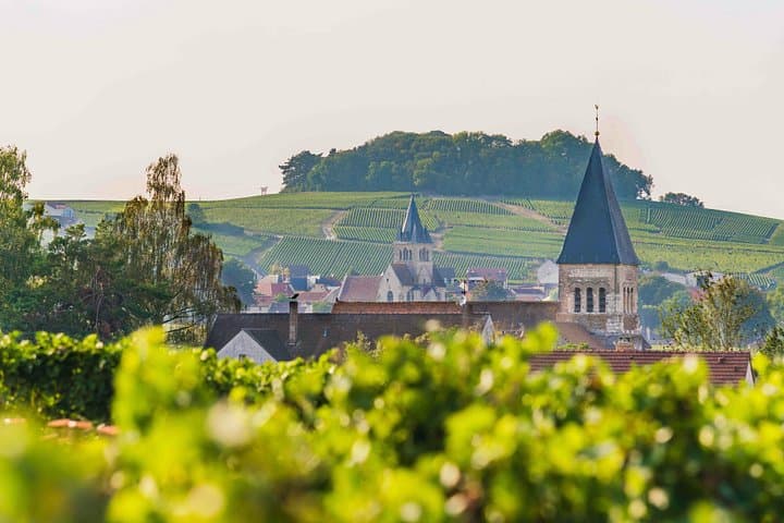 Private tour of the Champagne area, meet local producers and taste their Champagne, start from your hotel in Paris. — photo 4