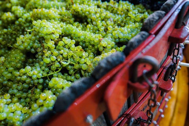 Private tour of the Champagne area, meet local producers and taste their Champagne, start from your hotel in Paris. — photo 12